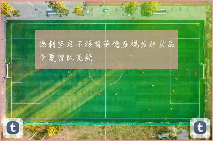 热刺坚定不移将范德芬视为非卖品今夏留队无疑